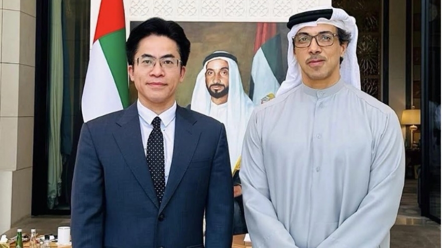 Vietnam, UAE set to upgrade relations, sign comprehensive economic partnership agreement